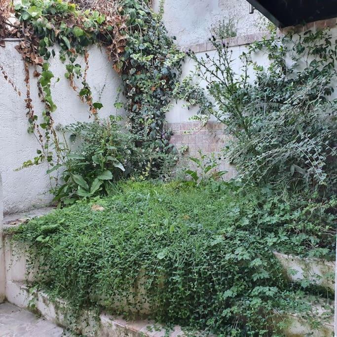 Reveries Maritimes Marseille Ngoại thất bức ảnh